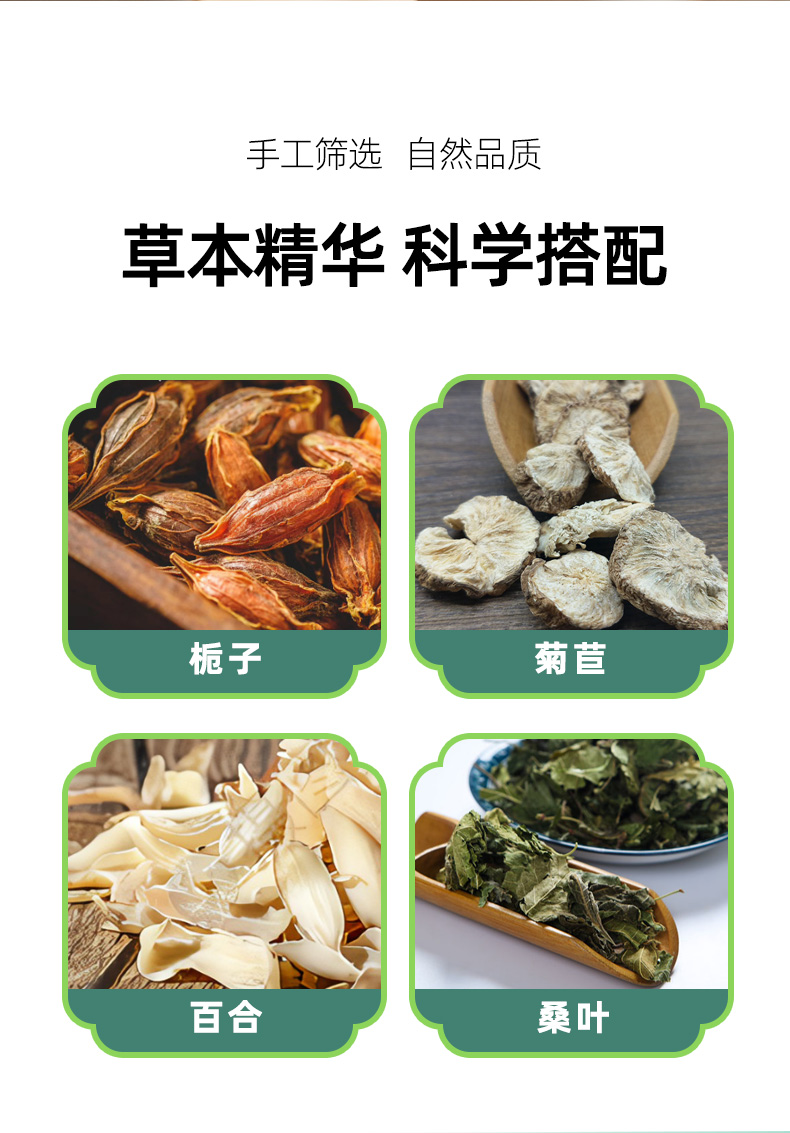 菊苣梔子茶(圖5)